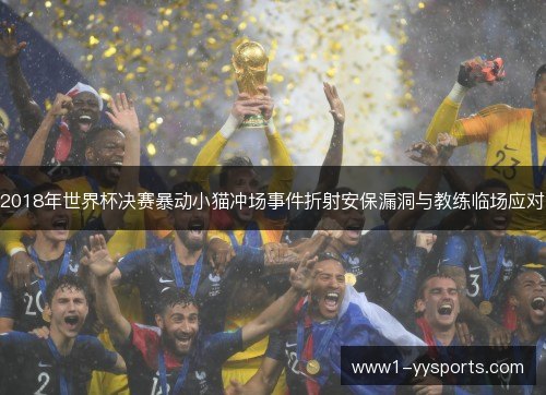 2018年世界杯决赛暴动小猫冲场事件折射安保漏洞与教练临场应对